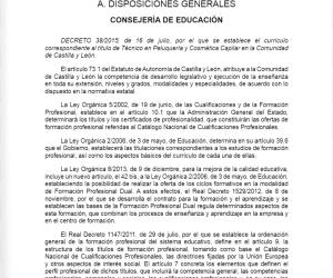 Bocyl D 38.2015 Curriculo Tcnico Peluquera y Cosmtica Capilar